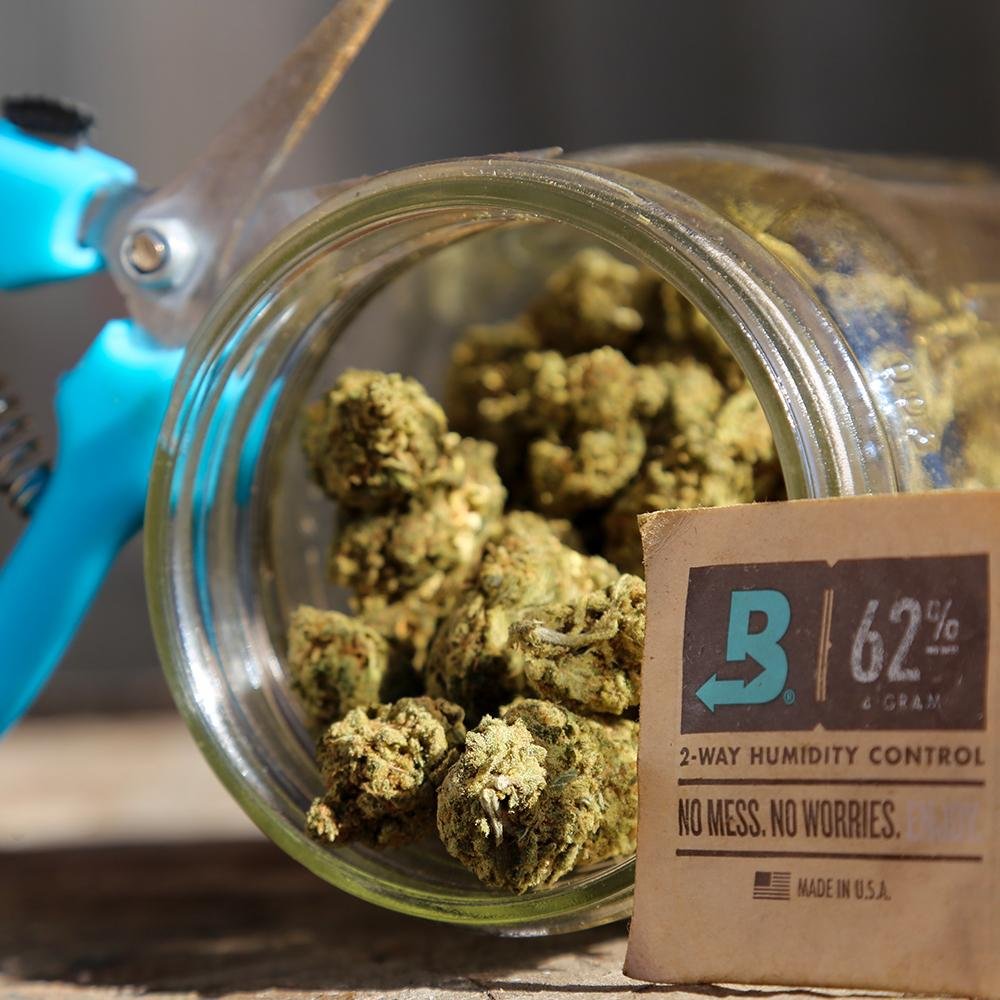 Boveda - Two way humidity control packs - nativeleafco