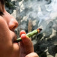 FRESH - BULK HEMP LEAF WRAPS - Ready Line - nativeleafco